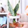 Ghiveci de flori, transparent, rezistent la scurgeri, îngroșat, anti-crăpare, auto-udare, ghiveci decorativ hidroponic pentru plante, jardinier de grădină, ghiveci pentru fereastră, accesorii de grădină