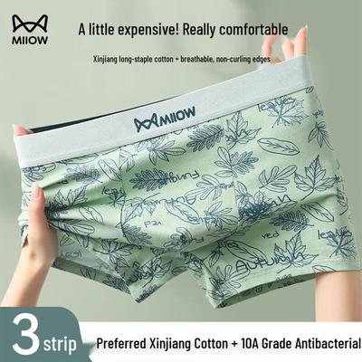 Chiloței – Boxeri