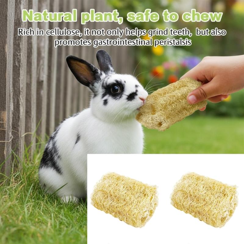 Natural Loofahs Rabbits Chew Toy for Mices Small Pet Promotes Dental Health Safe Durability Fun Play