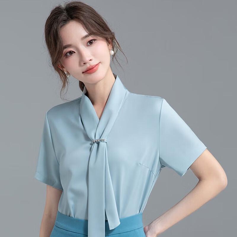 HANMANKE Women s Short Sleeve Pussy Bow Chiffon Blouse L