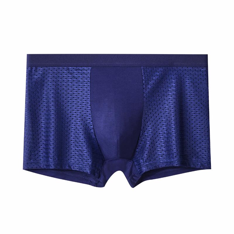 Cai Zhi Yan Men's 4-Pack Ice Silk Mesh Boxer Briefs