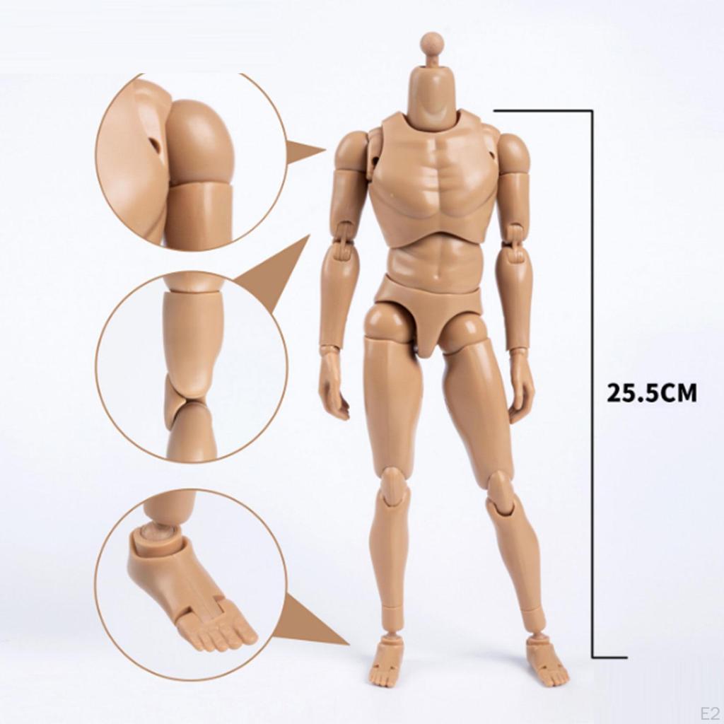 1/6 Male Action Figure Body 12 inch Model Narrow Shoulder Man