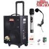 Migao MG883A-LI 120W Portable Outdoor KTV Speaker