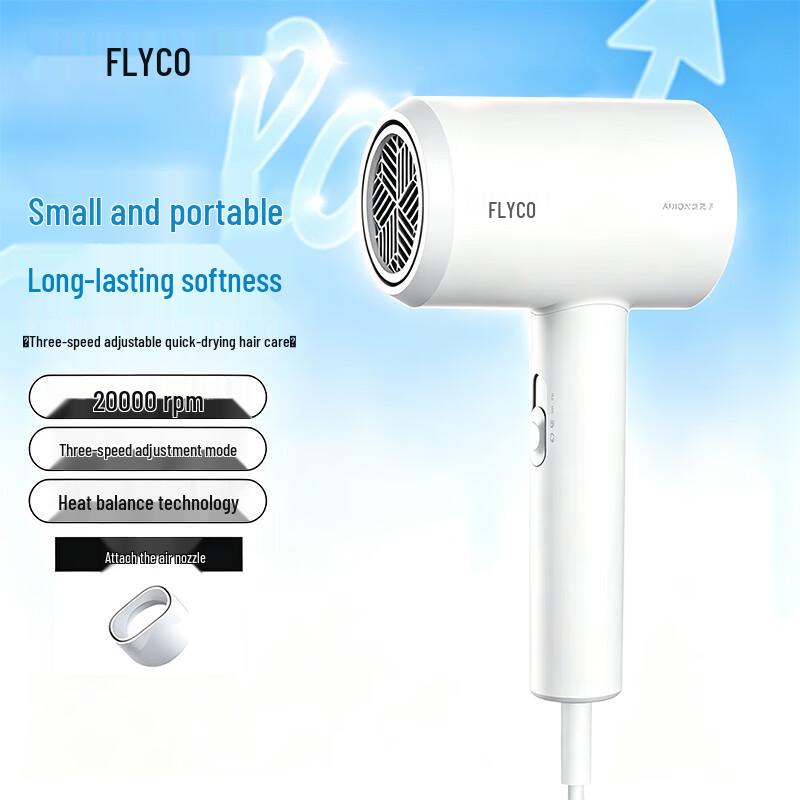FLYCO FH6290 Ionic Hair Dryer for Quick Drying & Hair Care CN plug (adapter included)