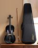 Eastar 4/4 Solid Wood Violin Set with Two Bows, EVA-330, Black, for Beginners and Advanced Players