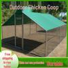 Mangeoire Automatique pour Volailles : Poulets, Canards, Oies et Pigeons