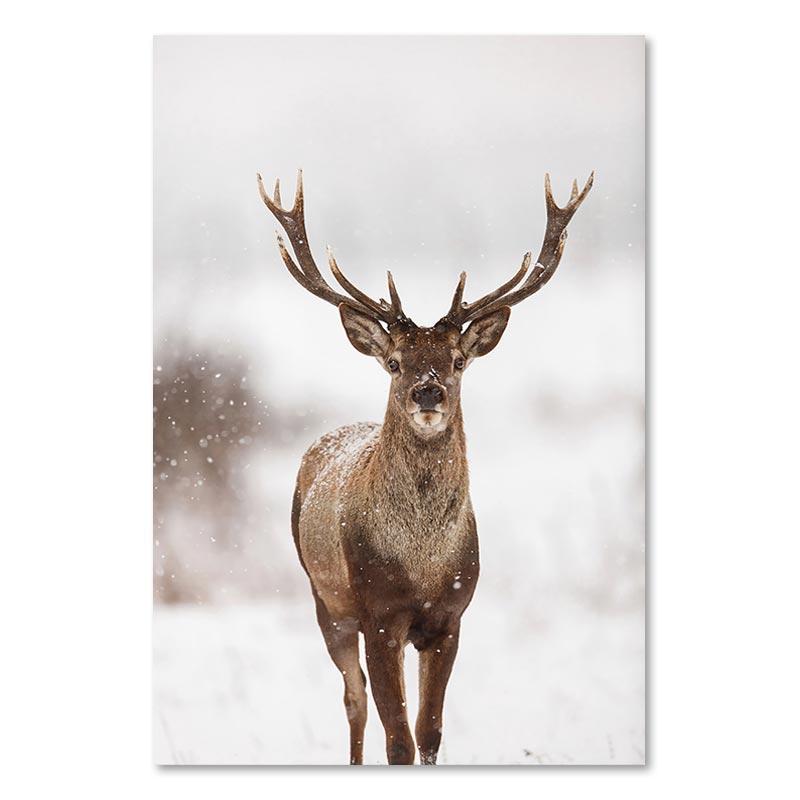 

Зимний снег, лес, олень, сова, солнечный свет, пейзажная живопись, скандинавский утренний пейзаж, холст, печать плакатов, художественные настенные панно, домашний декор 21x30cm No Framed