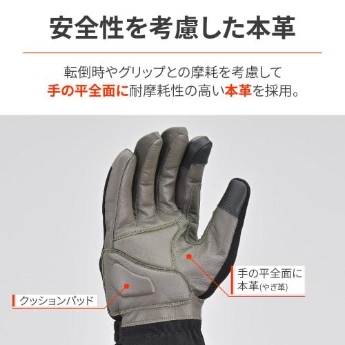 Daytona Motorcycle Gloves, Autumn/Winter, Genuine Palm Leather (Goat Leather), Waterproof, Windproof, Soft Protector, Compatible with Smartphones, Ant
