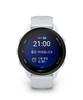 Gamin Forerunner 70 Whitestone