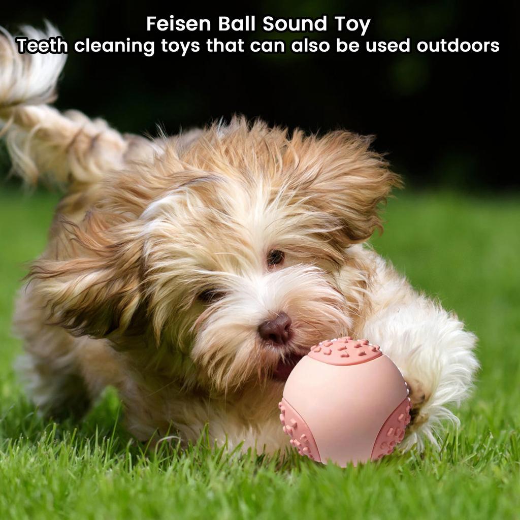 Dog Toy Ball with Squeaker Toy for Teething and Boredom