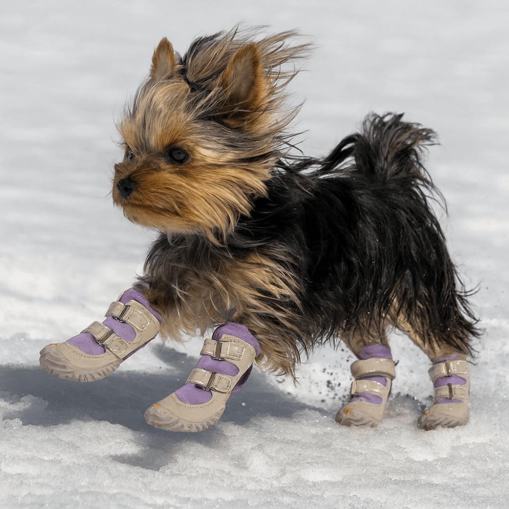4pcs/set Warm Dog Cotton Shoes Breathable Soft Bottom Winter Dog Boots Anti-dirt Waterproof Non-Slip Dog Shoes for Puppy Dogs