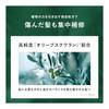 BOTANIST | Hair Oil Moist 80ml