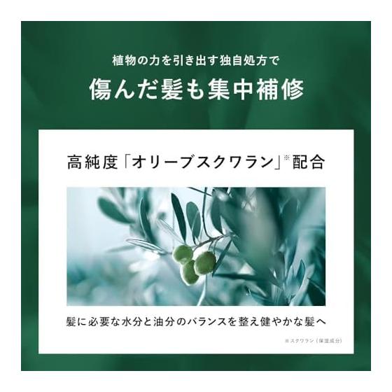 BOTANIST | Hair Oil Moist 80ml