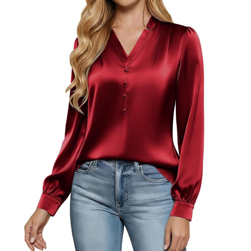 Women's Silk Shirt Casual Work Business Shirt Long Sleeve V,Neck Top