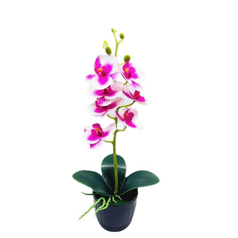 Phalaenopsis Artificial Aphrodite Rchb Potted Plant  For Gift And Interior Decor