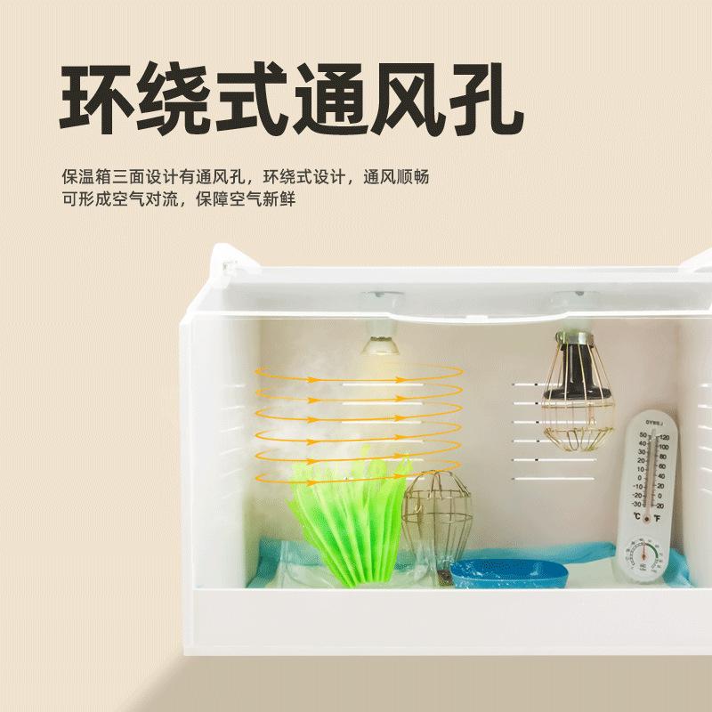 Insulation Box for Chicken Quail Bird Pet Brooding Feeding Climbing Rutin Chicken Duck Goose