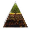 Tree of Life, Peridot and Tiger's Eye Crystal,  Home Protection Stone Pyramid Crystal,