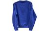 Jordan Sweatshirts Men's Blue Crew Neck Moderate Regular DR6421-455