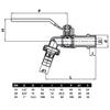 Garden Tap Valve 1/2" Nickel-Plated Brass