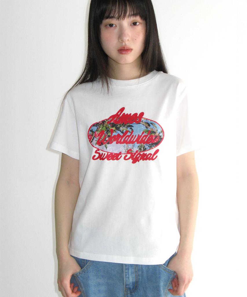 AMES-WORLDWIDE Palm Tree Oval Tee White