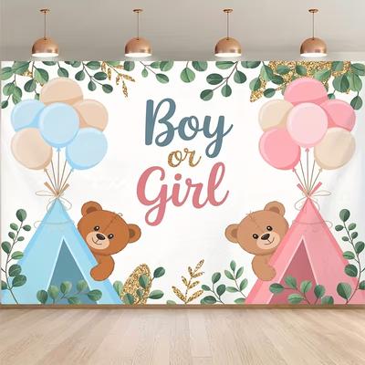 2D Boy or Girl Gender Reveal Backdrop Teddy Bear Photography Background Banner