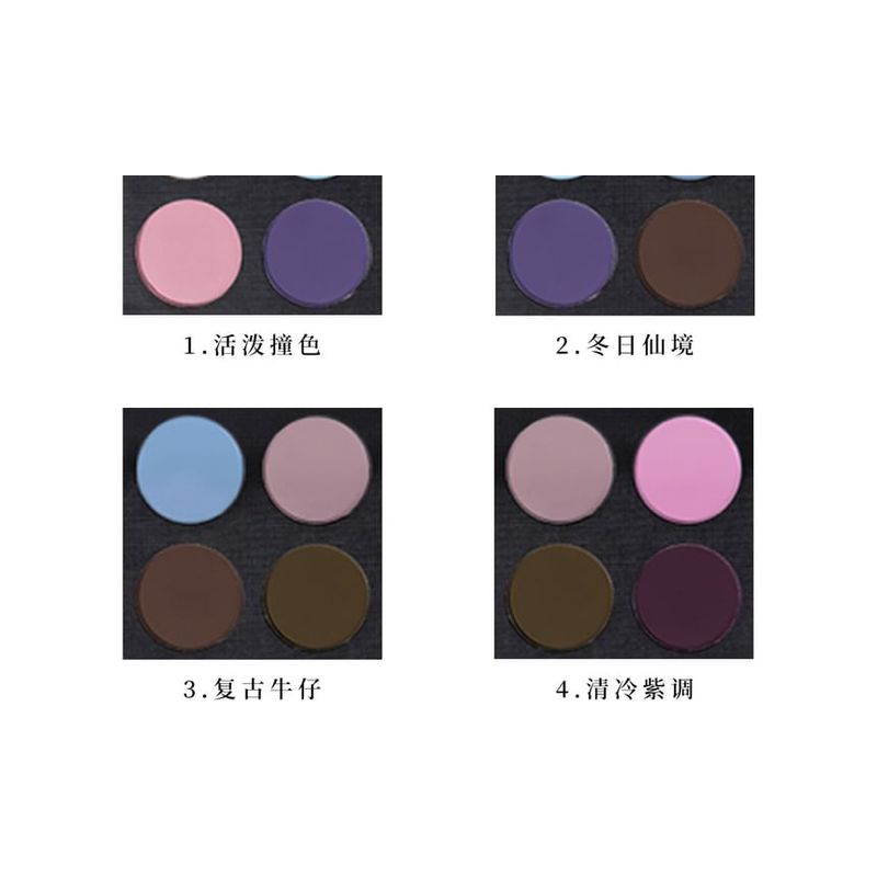 CHOIZ BEAUTY - 10-Farben Lidschattenpalette - Kalter Schmetterling