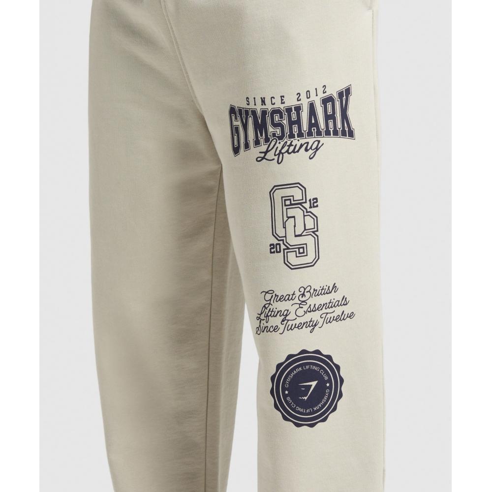 Gymshark Lifting Essentials Straight Leg Pant Pebble Grey A1c9g Gb7p