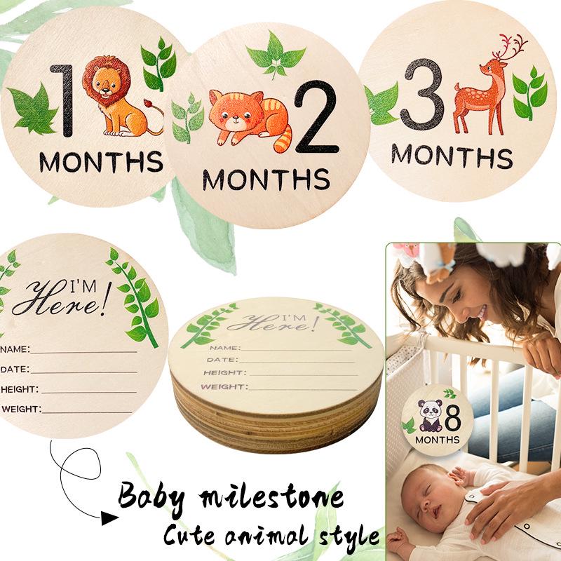 Wooden Baby Milestone Month Marker Photo Prop - DIY Round Plaque Set