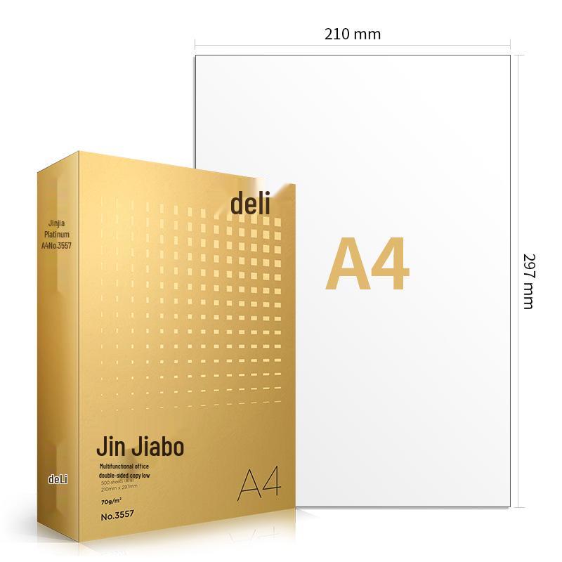 Deli Rhine 7419 Double-Sided 80G Printing Paper - Student & Office Use