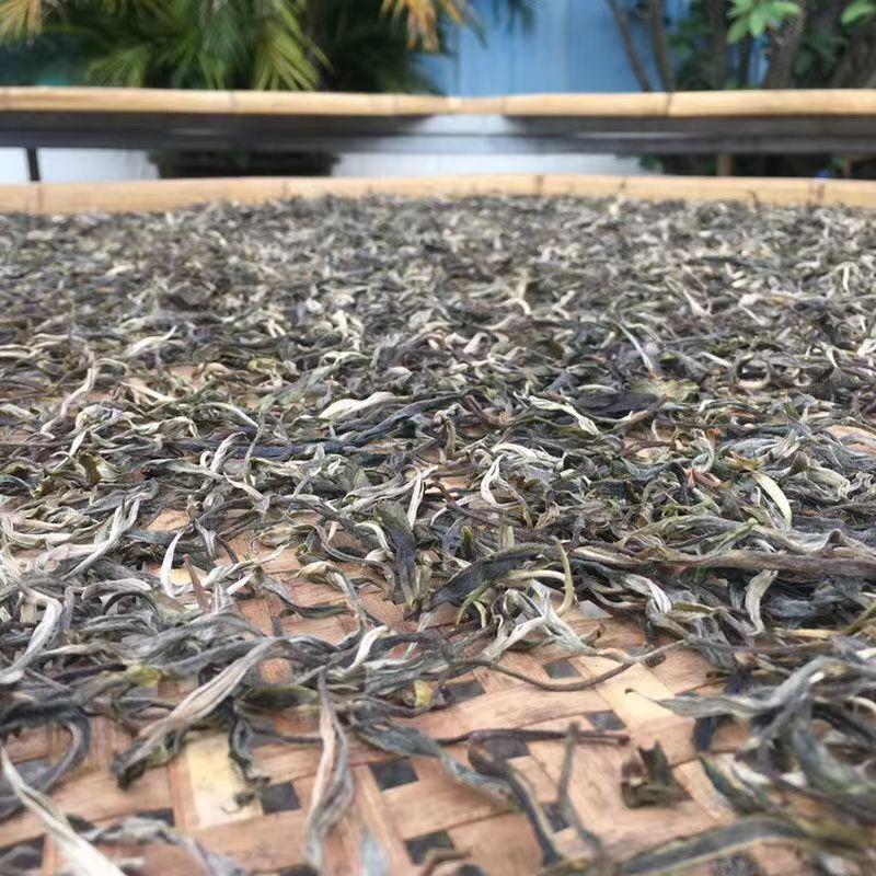 500 г сырого чая пуэр — фото 3