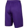 Nike Dri Fit SS25 Shorts Kids' Garden Purple IB8681-547
