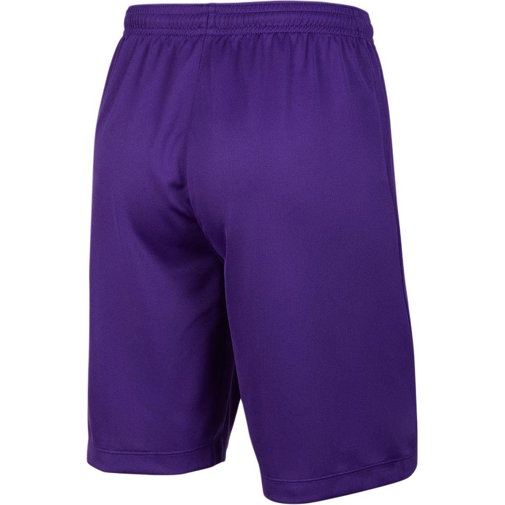 Nike Dri Fit SS25 Shorts Kids' Garden Purple IB8681-547