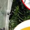 Menaj și curățenie – Împotriva insectelor