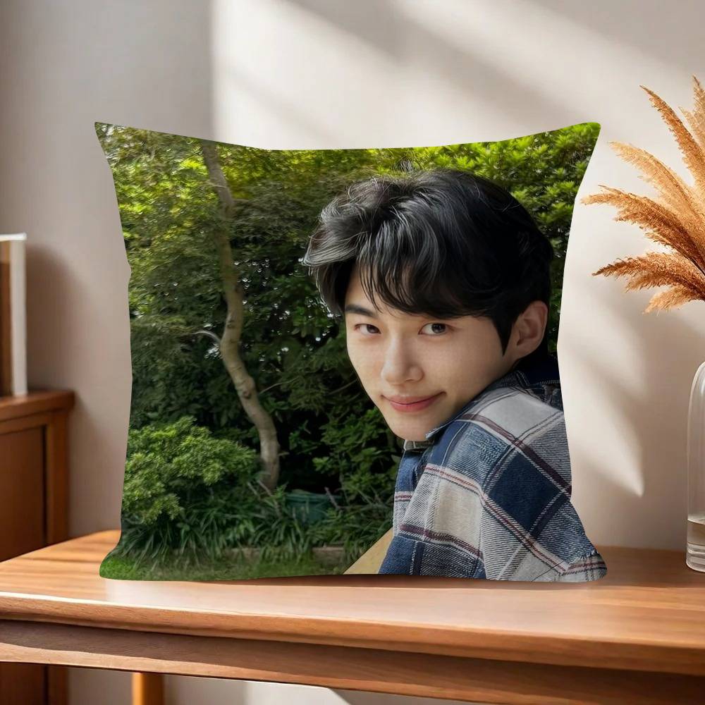 Korean Celebrity Byeon Wooseok   Pillowcase toon Gift Cushion Cover Bedroom Home Sofa Chair Seat Decor pillow case