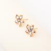 Hot Sale Hollow Five-petaled Flower Zircon Earrings Women's Niche Design High Fashion Cold Wind Earrings Women