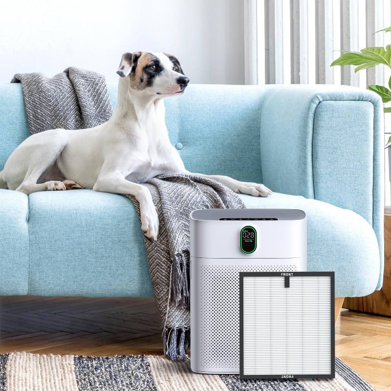 Air Purifier Filter For Morento Hy4866 And Yiou M1 With Hepa Tech For Clean Indoor Air