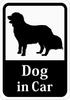 Dog In Car Golden Retriever Car Sticker (Magnet) S34