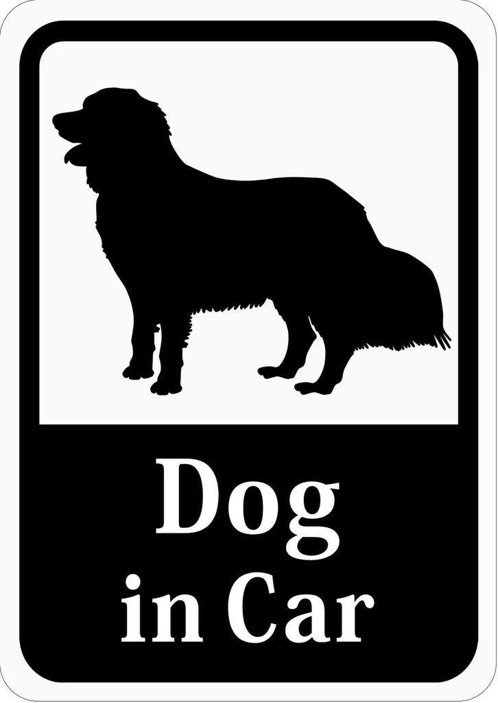 Dog In Car Golden Retriever Car Sticker (Magnet) S34