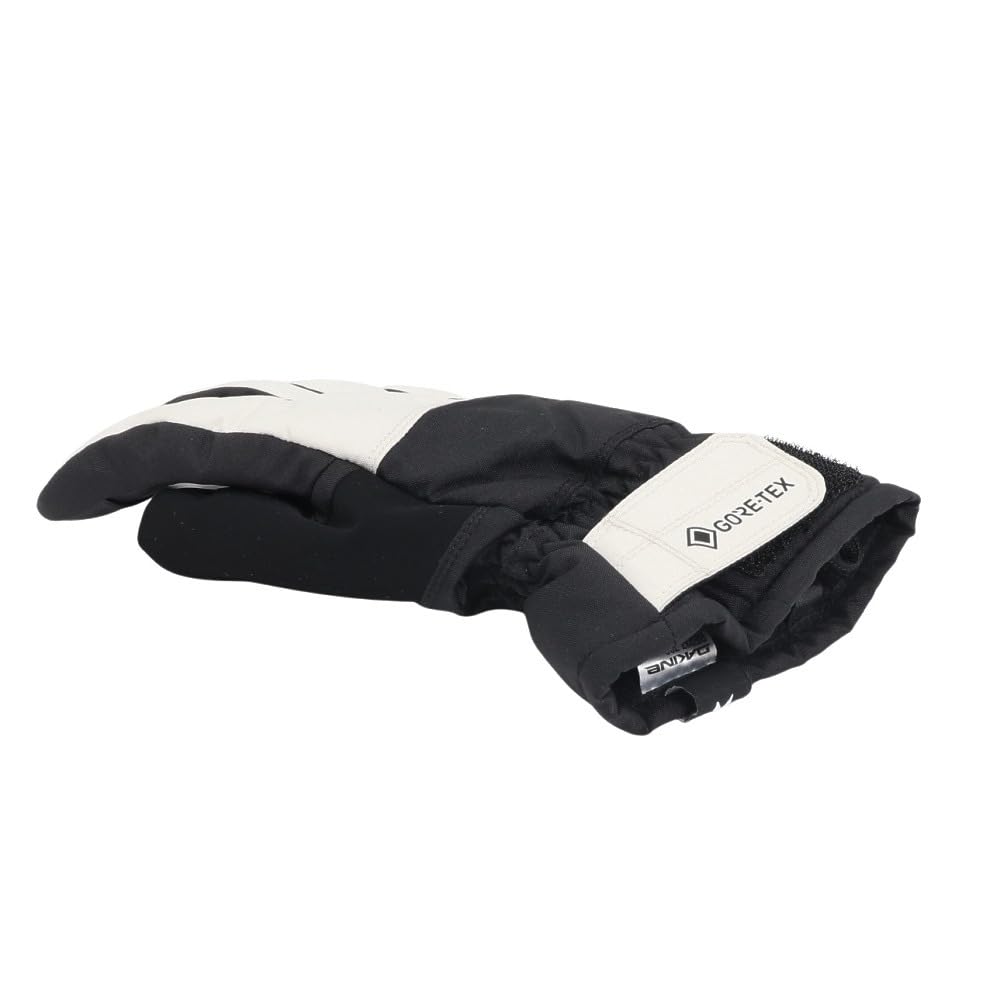 Men's SATURN GORE-TEX Snow Gloves (BE237730)