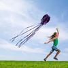 (Projector)Large  Long Tail Beach Kites-Perfect Toy for Kids and Adults Outdoor Game