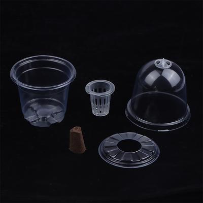 1/5 szt. Widoczny przezroczysty kubek do kiełkowania roślin Przezroczyste plastikowe pudełko do hodowli rozsad Ogród wewnętrzny Szklarnia Taca do wysiewu nasion