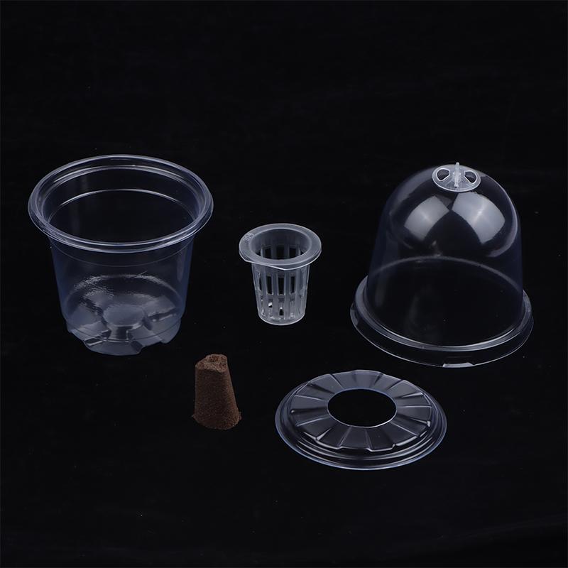 1/5Pcs Visible Clear Plants Germination Cup Transparent Plastic Nursery Growing Box Indoor Garden Greenhouse Seed Starter Tray