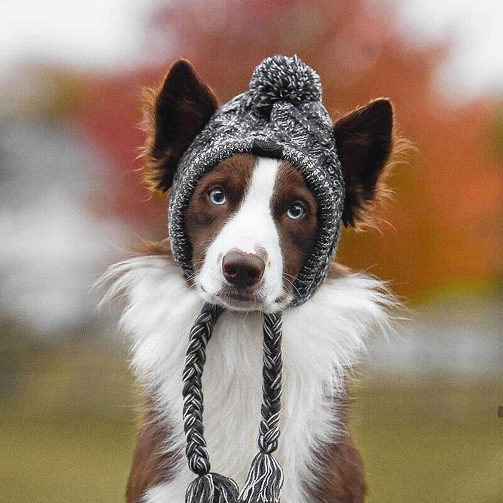 Winter Warm Dog Hats Windproof Knitting French Bulldog Hat For Dogs Chihuahua Hat Fluffy Ball Puppy Accessories Pet Hat H5Y6