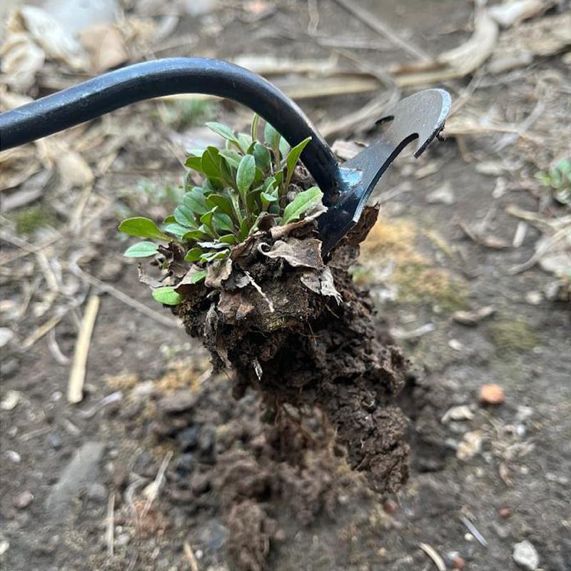 2-in-1-Gartenwerkzeug: Handrechen mit 4 Zinken, Unkraut- und Graswurzelspaten aus Manganstahl zum Auflockern des Bodens, Gartenhandwerkzeug