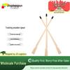 Martial Arts Training Wooden Spear