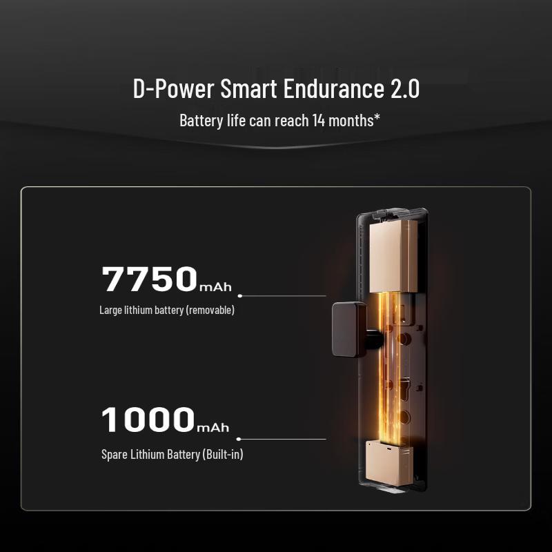 DESMAN Q50FVMax AI Face & Palm Vein Smart Door Lock