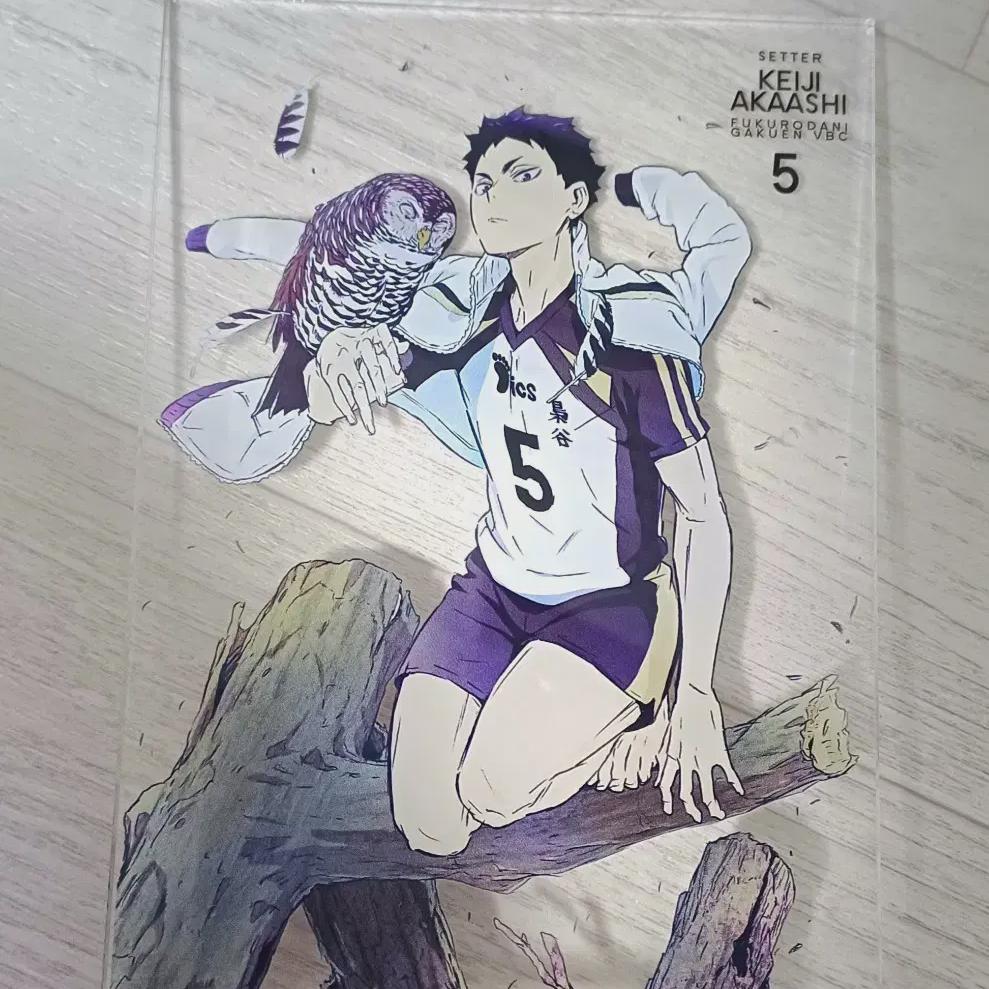 

Аварийный источник) Подставка из акрила Haikyu Akaashi Cage Barefoot