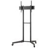 Neomounts FL50-540BL1 Tilting TV Stand, Height Adjustable 94.0 Cm (37) - 177.8cm (70) Standing, Tiltable,