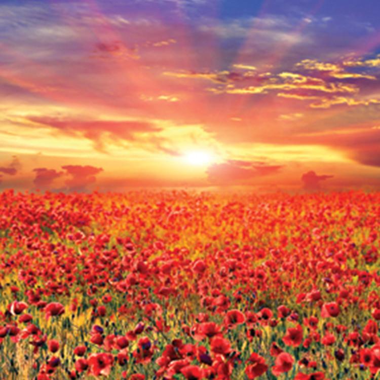 Пазл из 1000 деталей - чудесный закат над маковым полем (мини) — фото 3