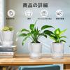 Phyxiul Automatic Water Supply Set of for Bottom Water Supply Flower with Water Supply for Outdoor and Indoor Potted Flower Gardening Transparent